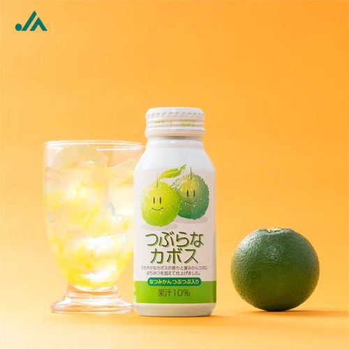 日本进口农协大分JA Foods Oida卡波苏香橙果汁190gx6罐 青柑饮料