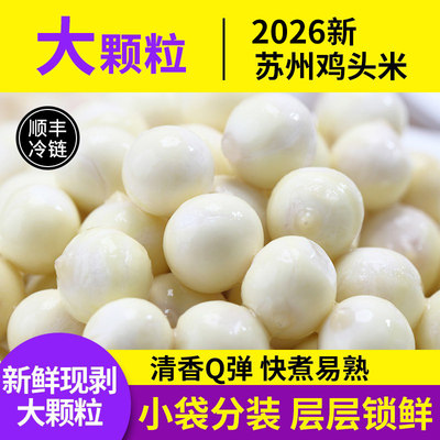津秋阳澄2026鸡头米大颗粒苏州特产当季新鲜芡实非干货手剥鲜茨实