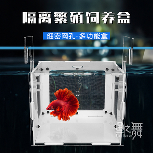 鱼缸隔离盒斗鱼饲养盒缸内壁挂式鱼尼龙网孵化盒饲养斗鱼饲养隔离