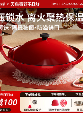 amercook珐琅锅家用铸铁炖锅炖盅砂锅煮汤锅海鲜不粘焖烧锅电磁炉