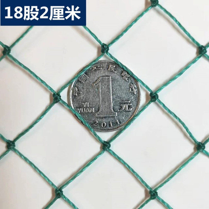 室外养殖网防鸟网尼龙网围栏网天网顶网绿网软网渔网两指网18股2