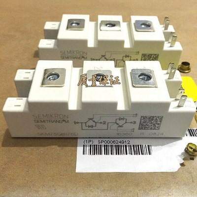 SKM75GB176D SKM100GB176D/173D SKM145GB176D BSM75GB170DN2全新