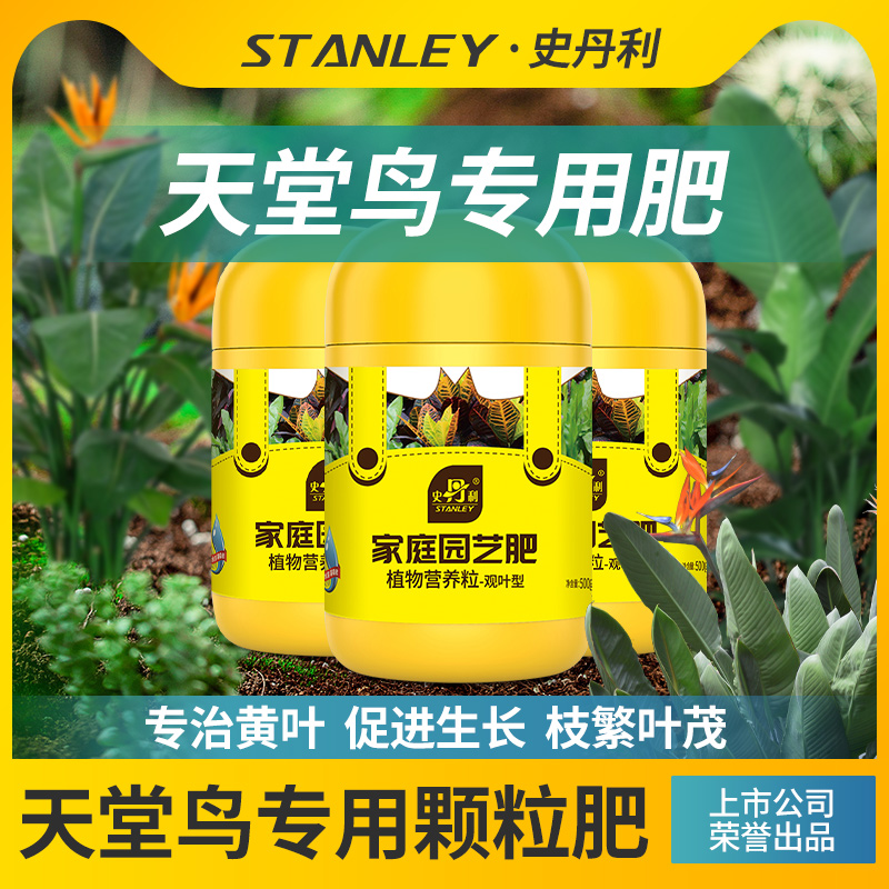 天堂鸟专用肥告别黄叶