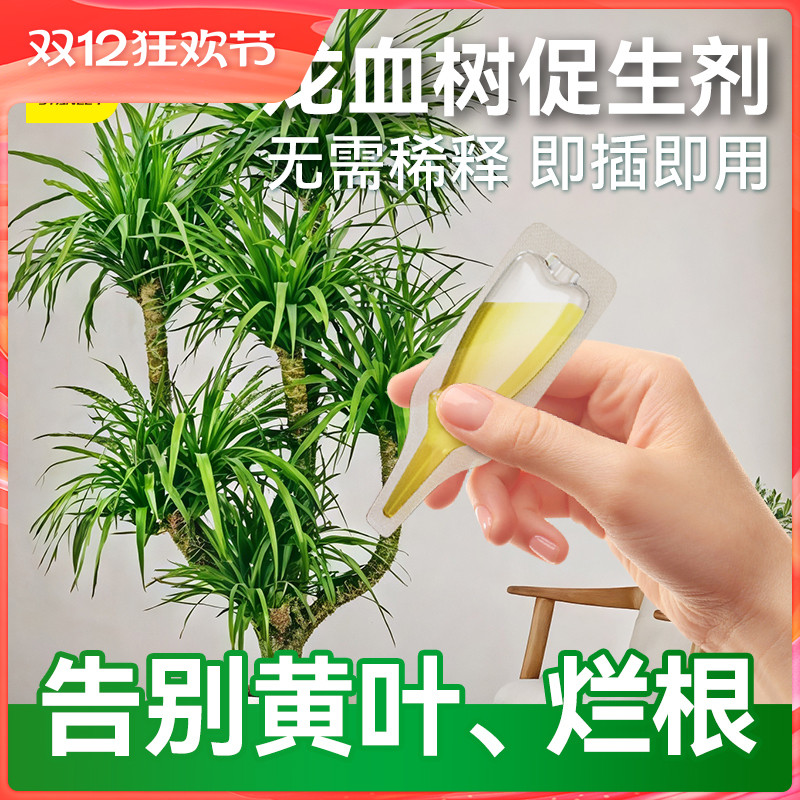 史丹利龙血树专用肥叶片浓绿