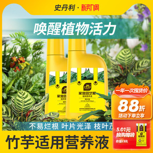 史丹利竹芋植物肥料彩叶油画飞羽竹芋专用肥室内花营养液绿叶花肥