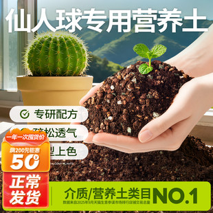 史丹利仙人球专用营养颗粒土营养土仙人掌专用肥料仙人柱培养土壤