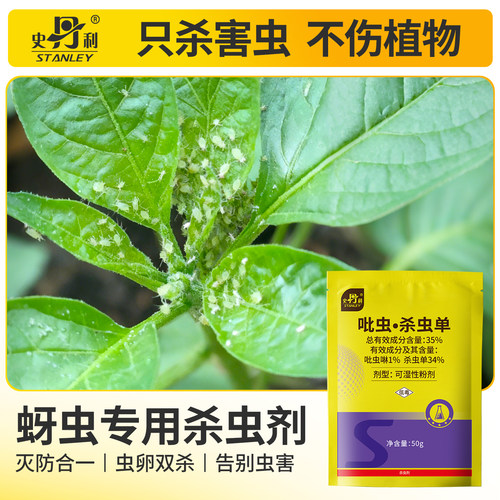 蚜虫专用药|杀虫不伤花