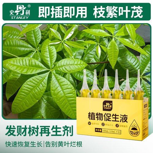 史丹利发财树专用营养液促生剂