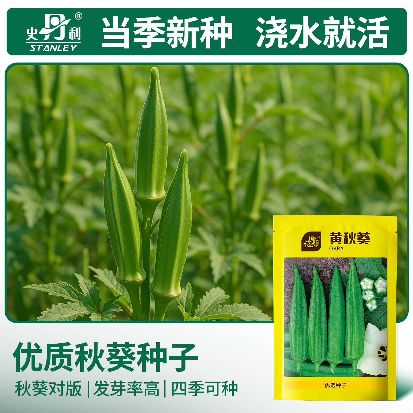 史丹利黄秋葵种子阳台蔬菜种植秋葵盆栽籽种四季阳台菜种孑子大全
