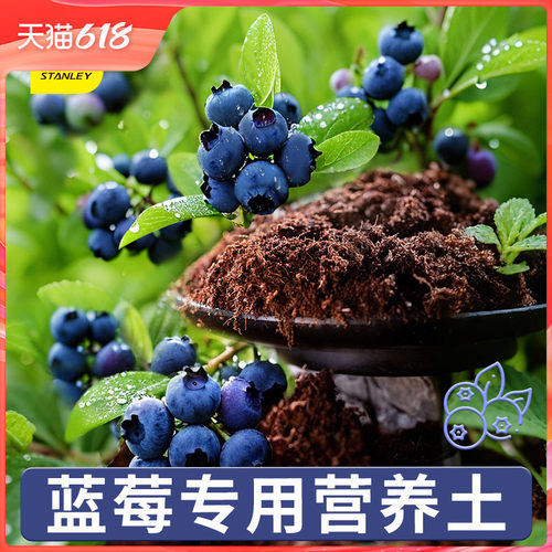 史丹利蓝莓专用土盆栽营养土