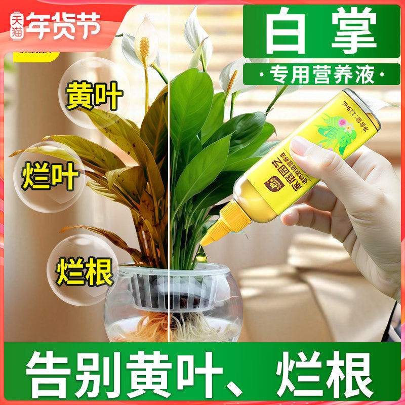 史丹利白掌一帆风顺营养液花肥盆栽水培营养液专用肥料白鹤芋花肥,鲜花速递/花卉仿真/绿植园艺,家庭园艺肥料,淘宝优惠券,粉丝福利购,淘宝优惠卷
