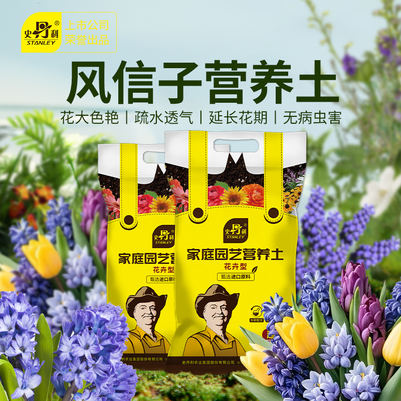 史丹利风信子开花专用土