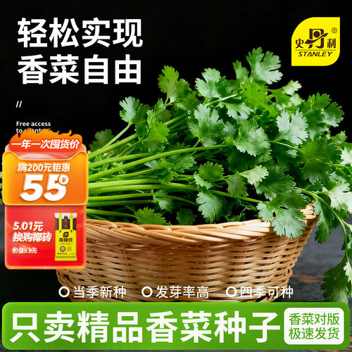 精选当季新种|发芽率高