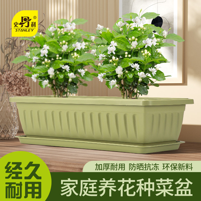 史丹利茉莉花阳台种菜盆室内花卉养花种植塑料花盆长方形加厚家庭