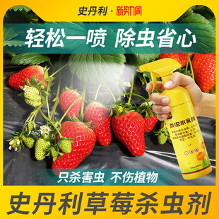 史丹利草莓专用杀虫剂除虫除虫打虫药苗驱虫蚜虫红蜘蛛病虫害防治