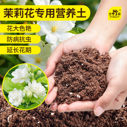 茉莉花专用土疏松透气