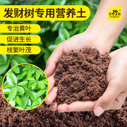 发财树专用土疏松透气