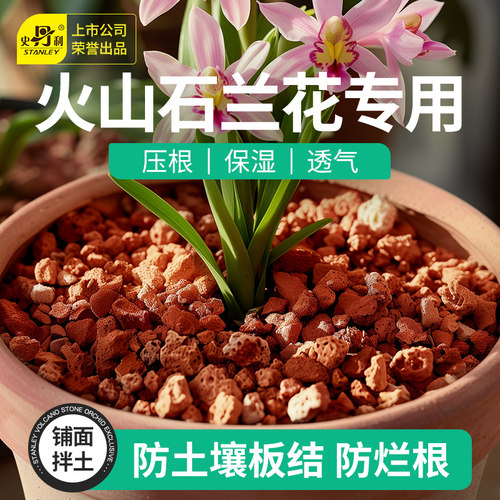 兰花专用火山石防土壤板结