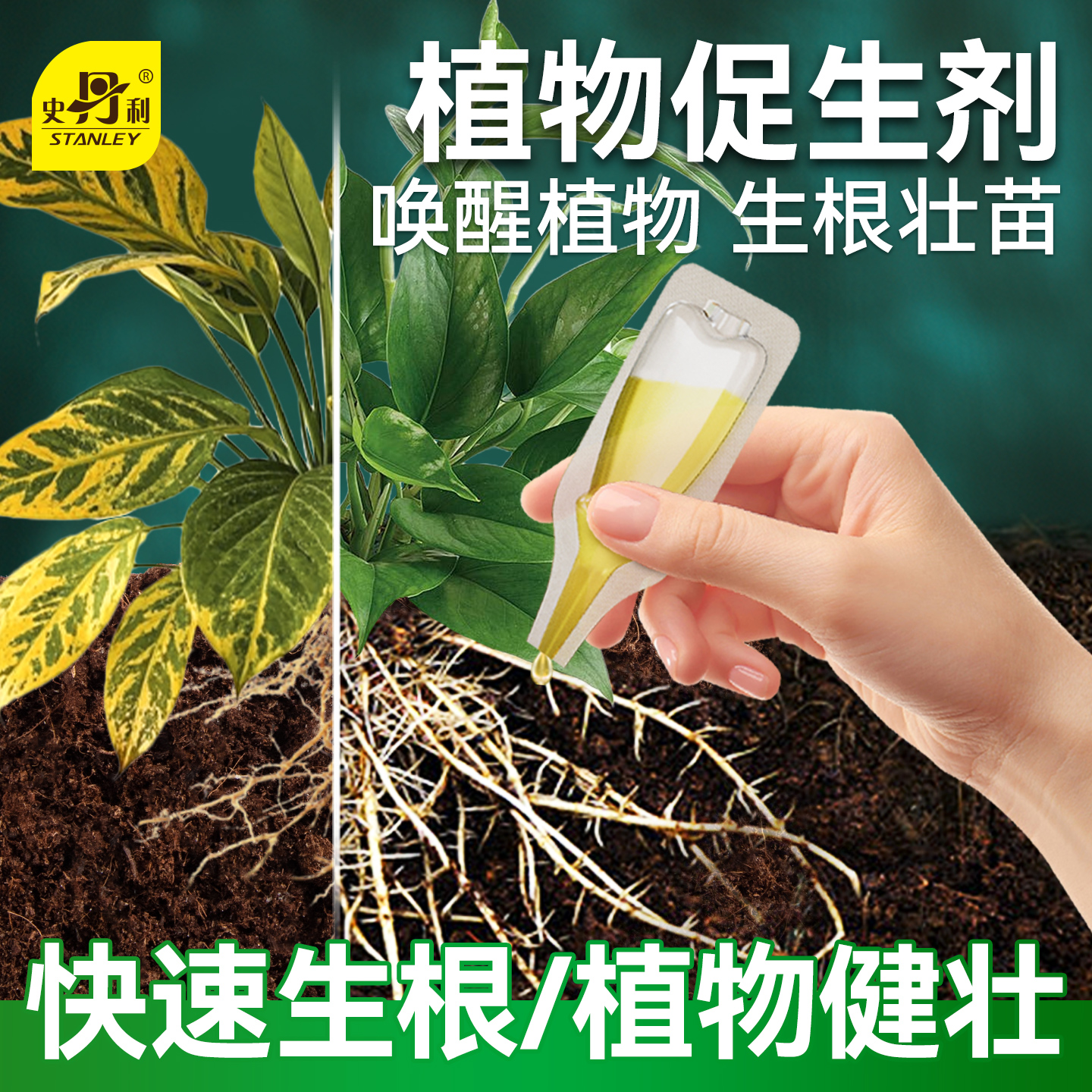 史丹利植物生根剂快速生根壮苗