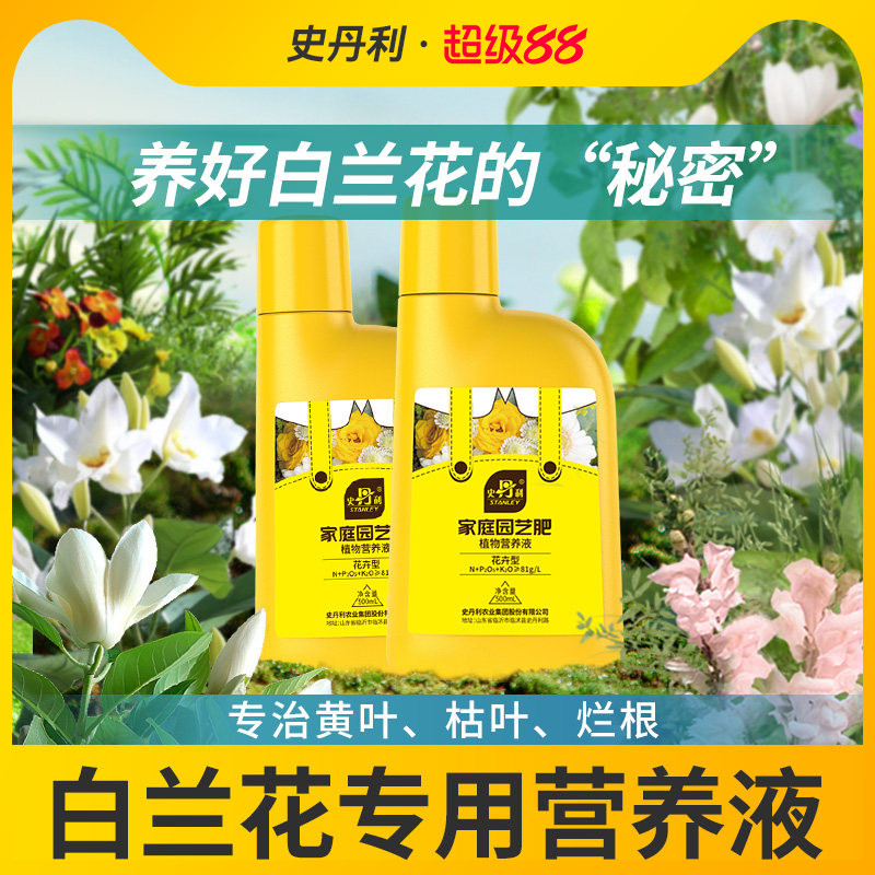 白兰花专用肥花开满盆图片