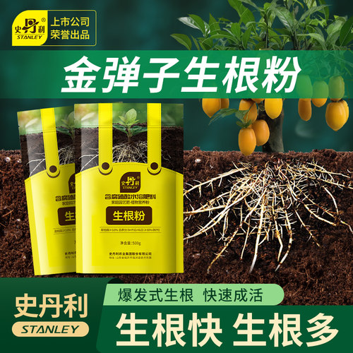 史丹利金弹子专用生根粉快速生根