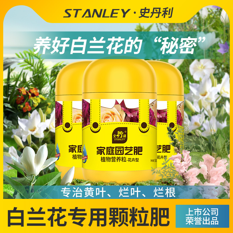 白兰花专用肥花开满盆