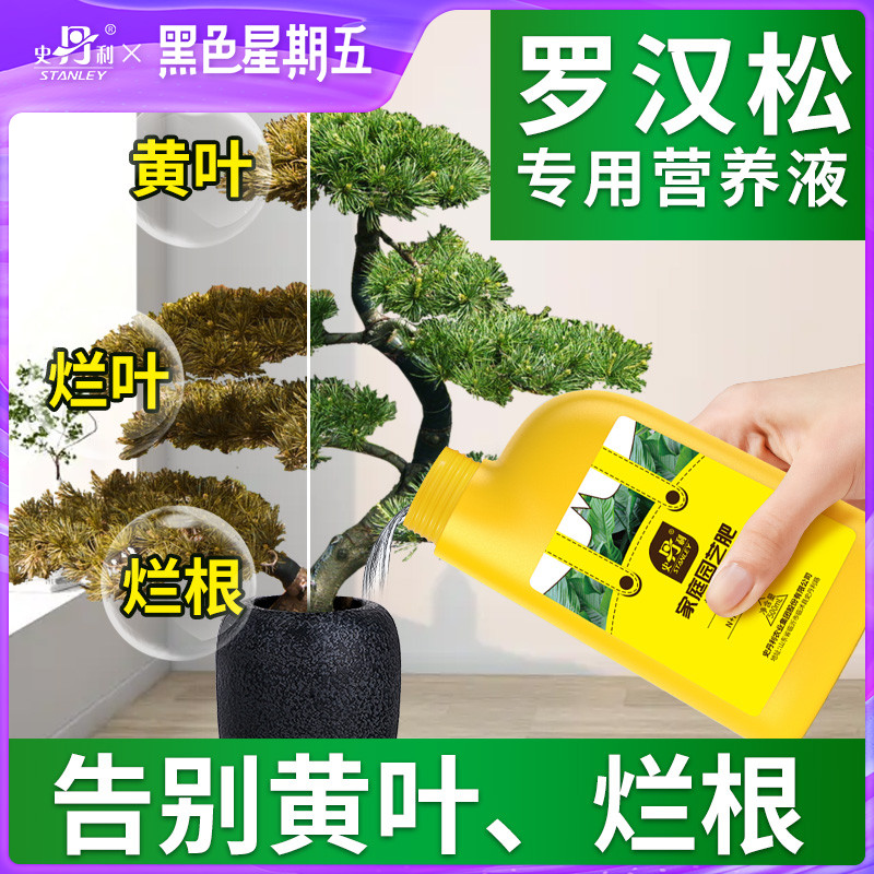 史丹利罗汉松肥料专用肥营养液盆栽泰山松雀舌四季松树盆景复合肥