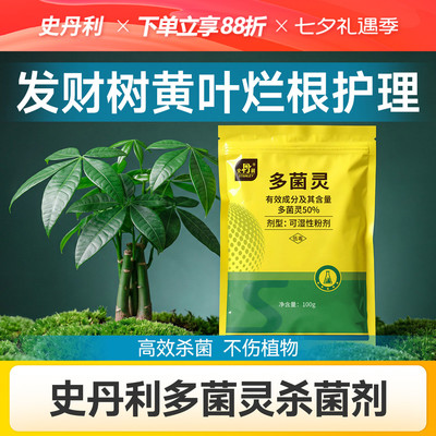 史丹利多菌灵杀菌剂发财树专用