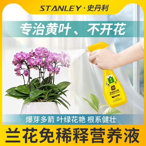 兰花专用肥料拔箭促花