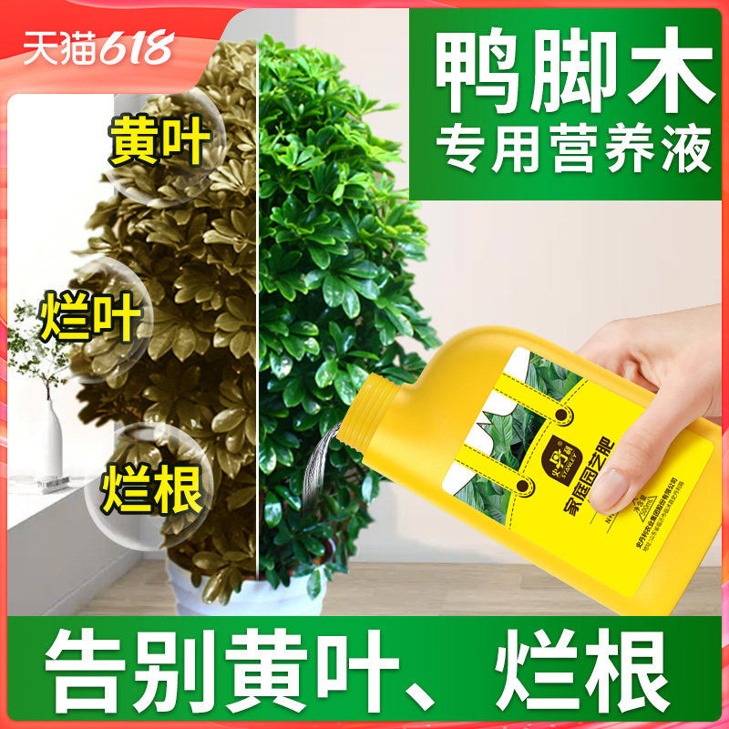 史丹利鸭脚木肥料专用肥营养液鸭掌木花肥鹅掌木盆栽家用液体肥料
