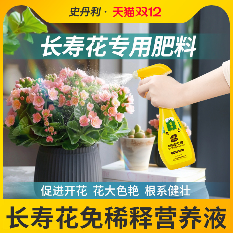 长寿花专用肥花开满盆