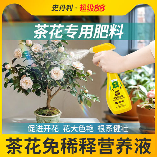 茶花专用肥料花开满盆