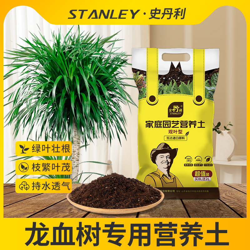 龙血树专用土壤治疗黄叶