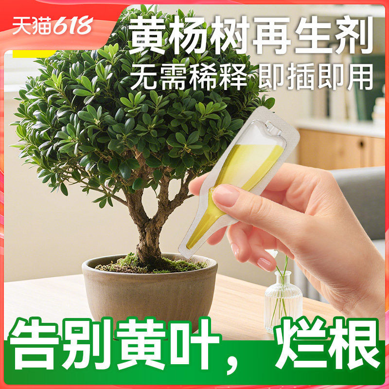 史丹利黄杨树专用肥植物促生剂营养液再生盆栽烂根黄叶有机花肥料