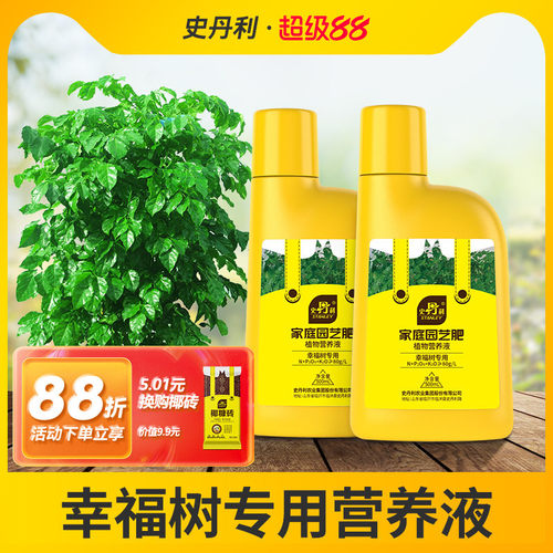 专治幸福树枯叶掉叶黄叶的营养液