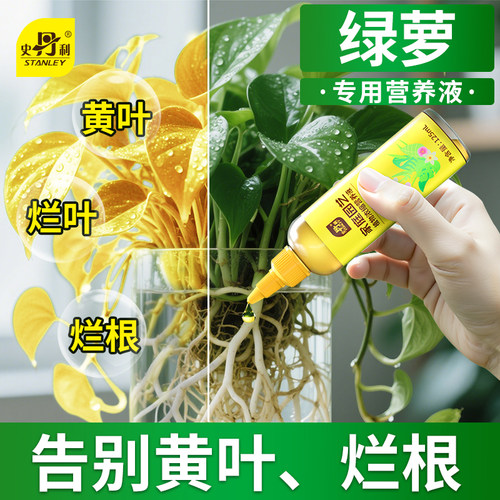 史丹利水培植物营养液绿萝专用