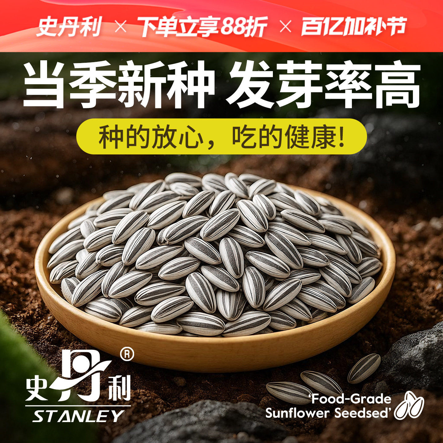 史丹利特大食用向日葵种子葵花籽油葵盆栽大瓜子蔬菜食葵四季种植