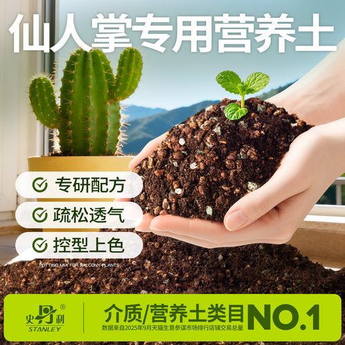 仙人掌专用土|告别烂根