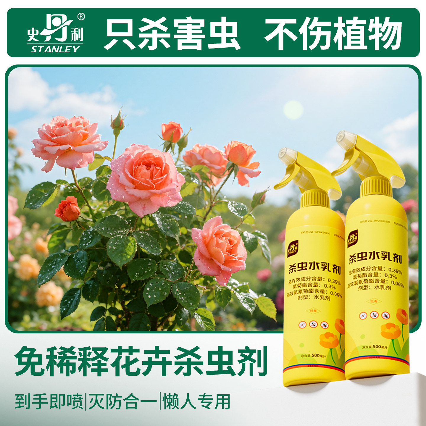 史丹利月季花病虫害常用药图片