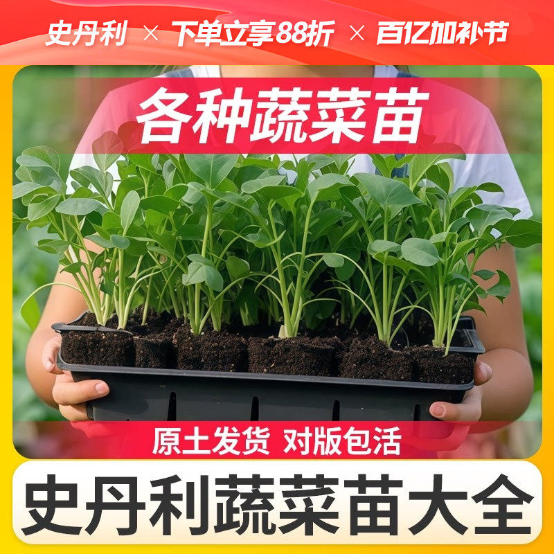 史丹利南方蔬菜苗番茄菜苗秧苗秧辣椒西红柿黄瓜西瓜甜瓜茄子大全
