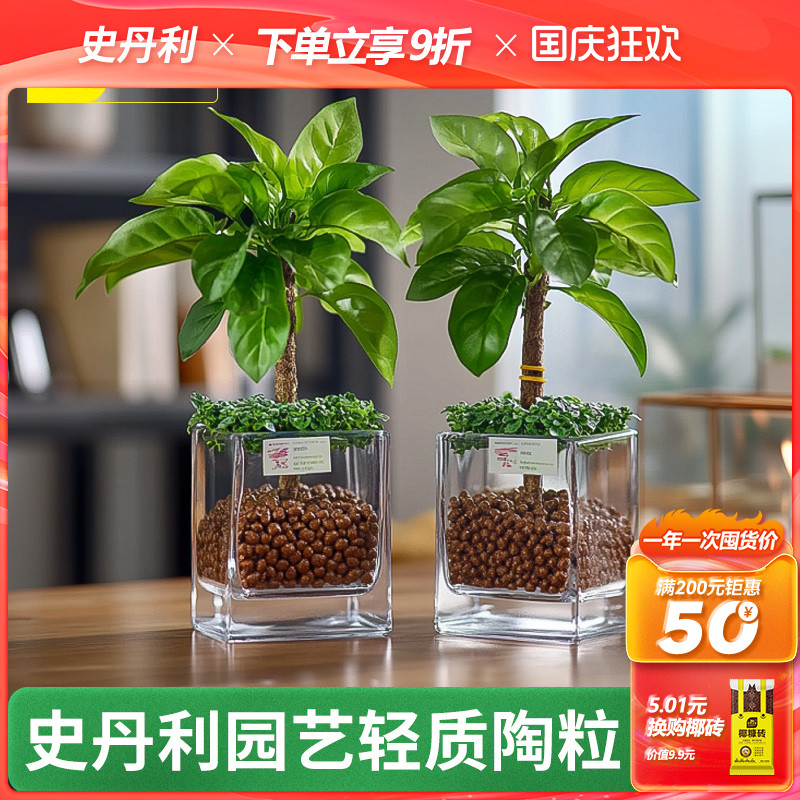 史丹利陶粒水培专用颗粒水培植物定植固定发财树沉水盆绿萝固定器