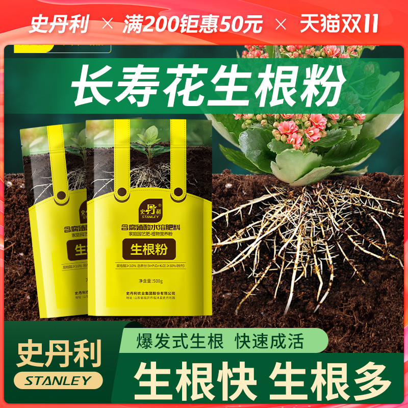 史丹利长寿花快速开花粉茶花桂花茉莉生根粉壮苗促花园艺花肥料