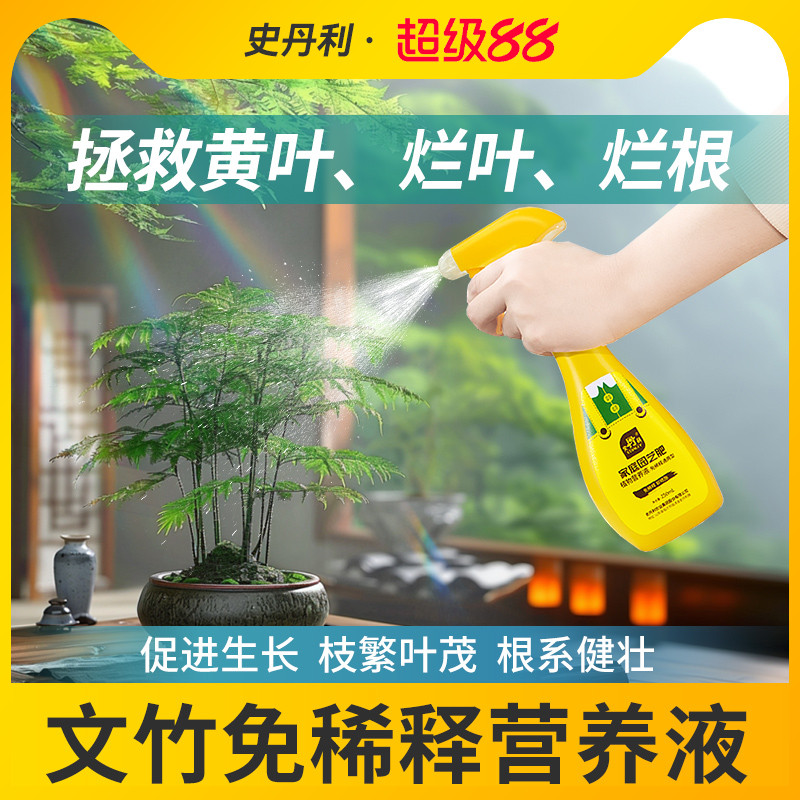 文竹专用肥料告别黄叶