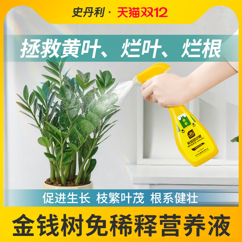 金钱树专用肥告别黄叶