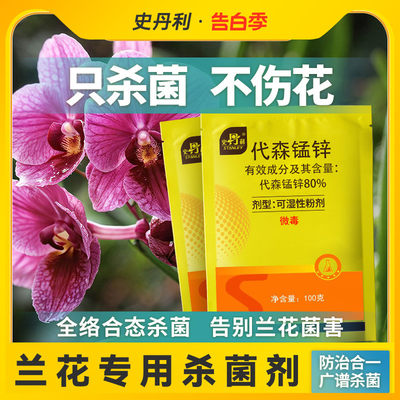 兰花杀菌药专治黑斑病