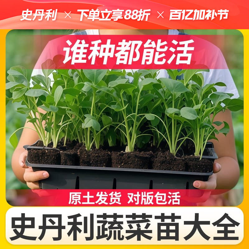 史丹利春播各种蔬菜苗秧四季番茄辣椒西瓜茄子黄瓜西红柿种子大全