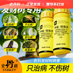 史丹利发财树专用黄叶枯叶烂根枯萎叶子发黄白斑甲霜恶霉灵杀菌剂