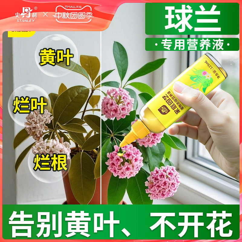 史丹利球兰专用肥开花卷心叶不开花黄叶营养液花卉球兰花盆专用土										