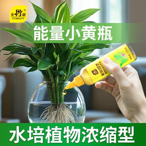 花肥营养液阳台盆栽种植史丹利