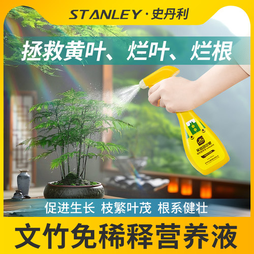 文竹专用肥料告别黄叶